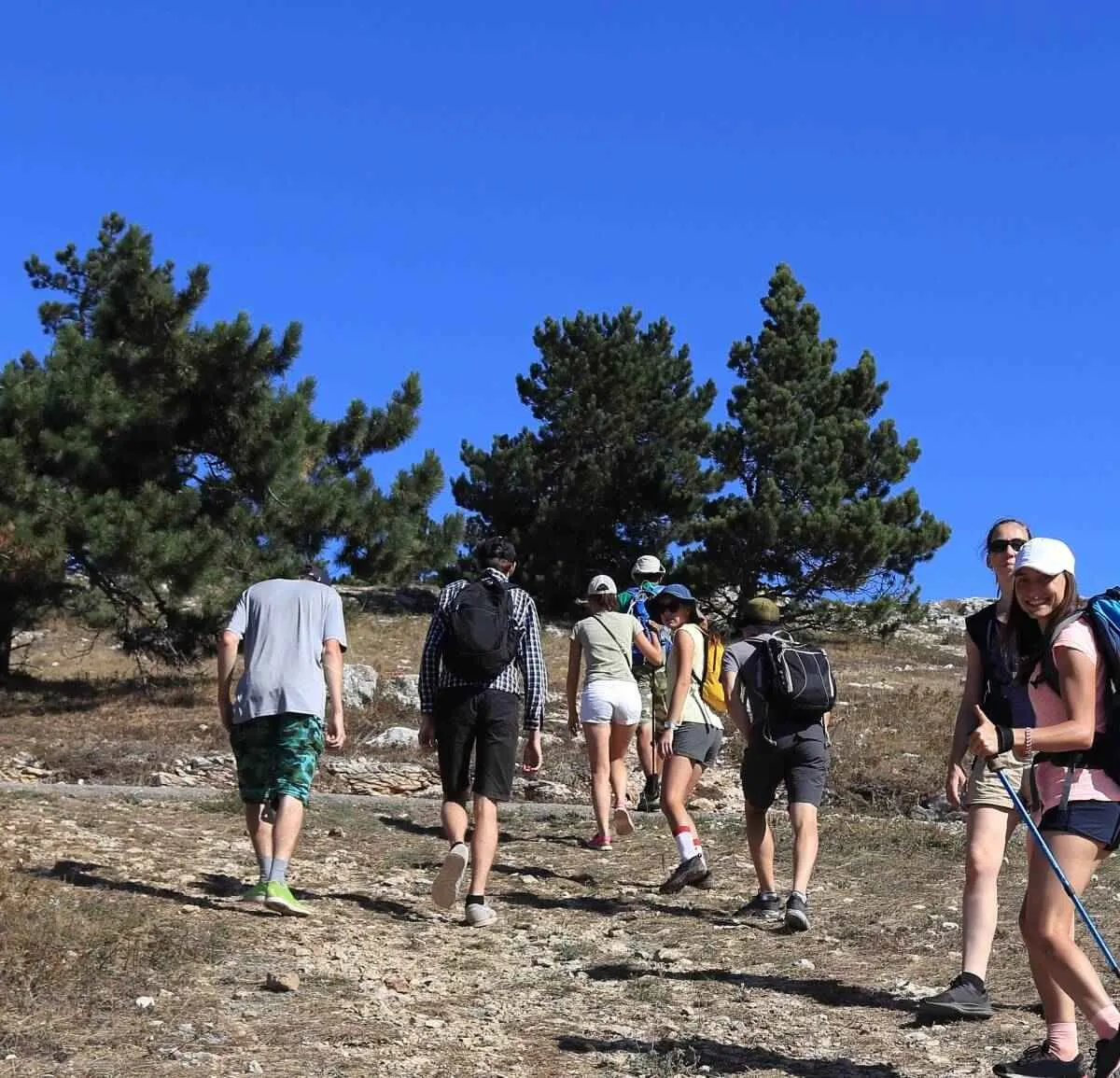 seguiment rastres fauna