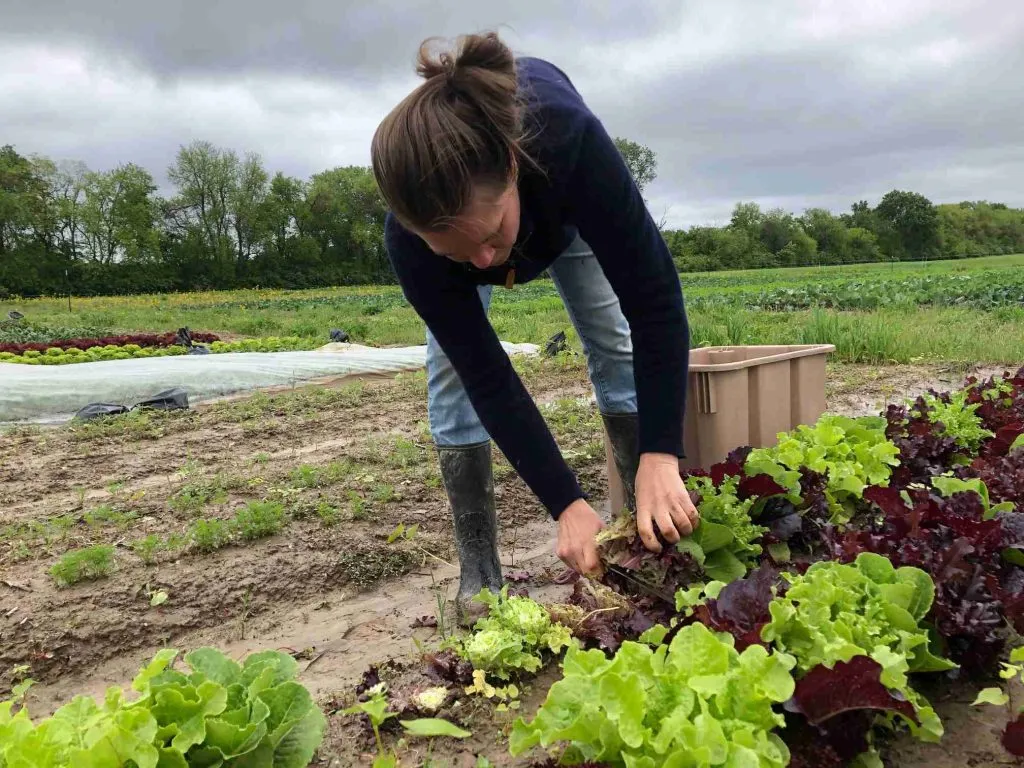 Territori i ruralitat